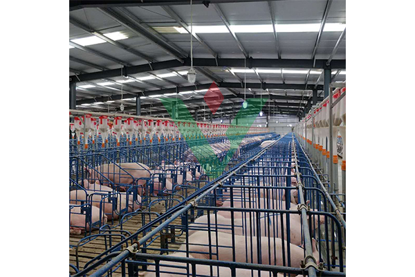 Hệ thống lọc khí trong cơ sở chăn nuôi