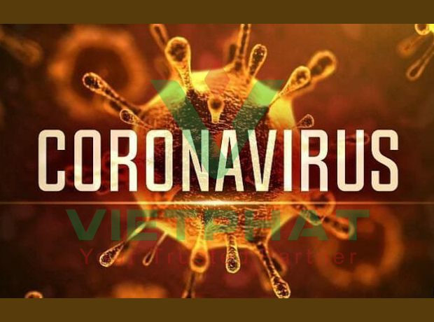 Coronavirus ảnh hưởng đến đường hô hấp